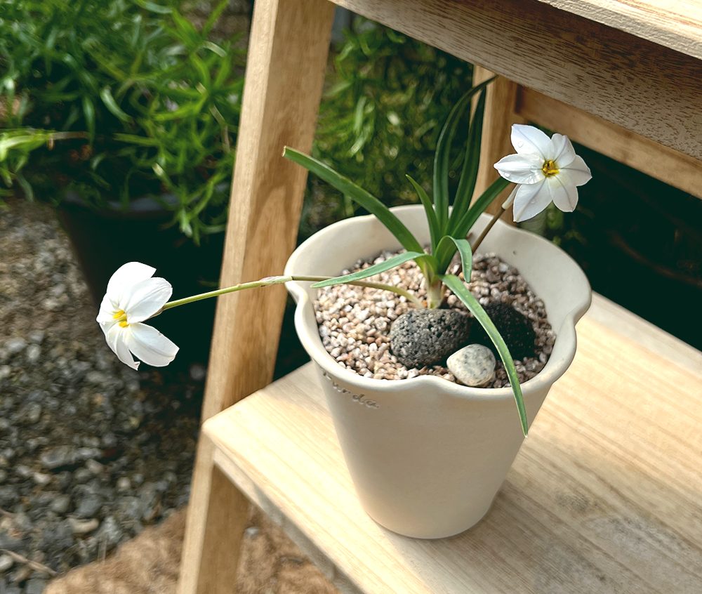 OBJET | flower pot - White