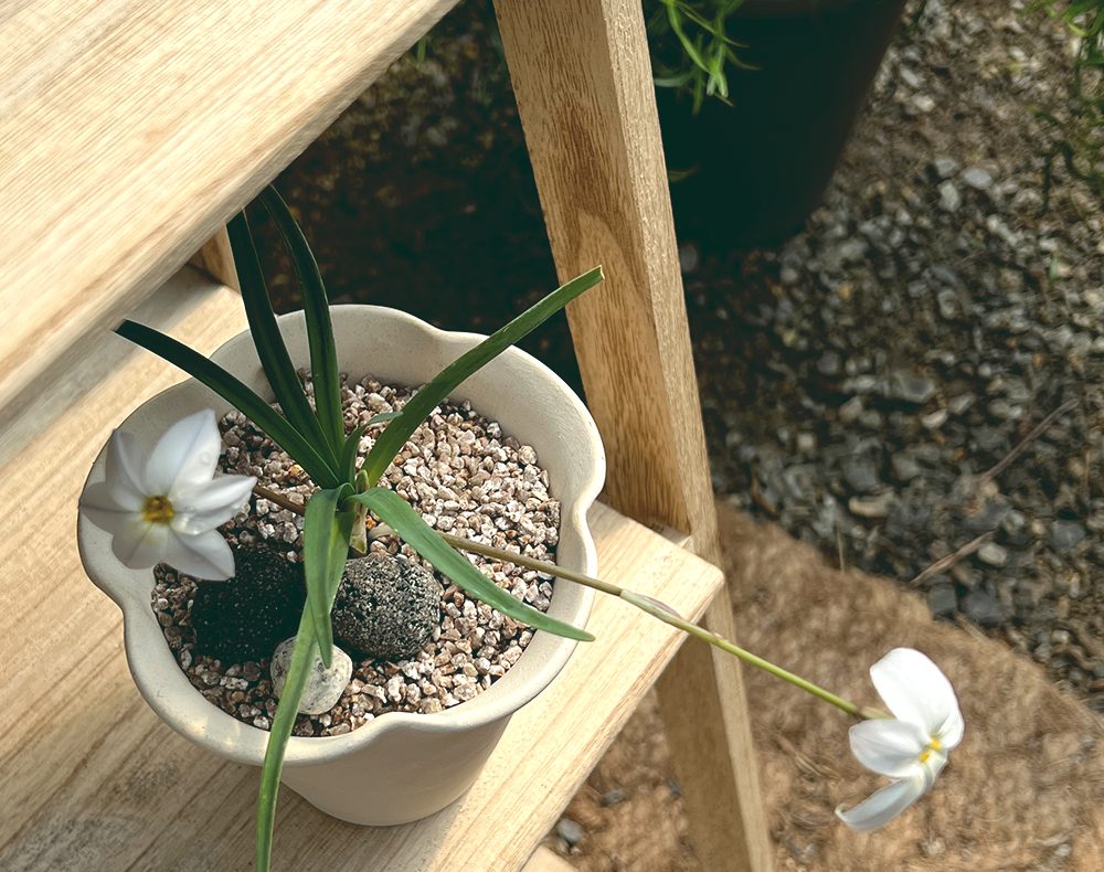 OBJET | flower pot - White