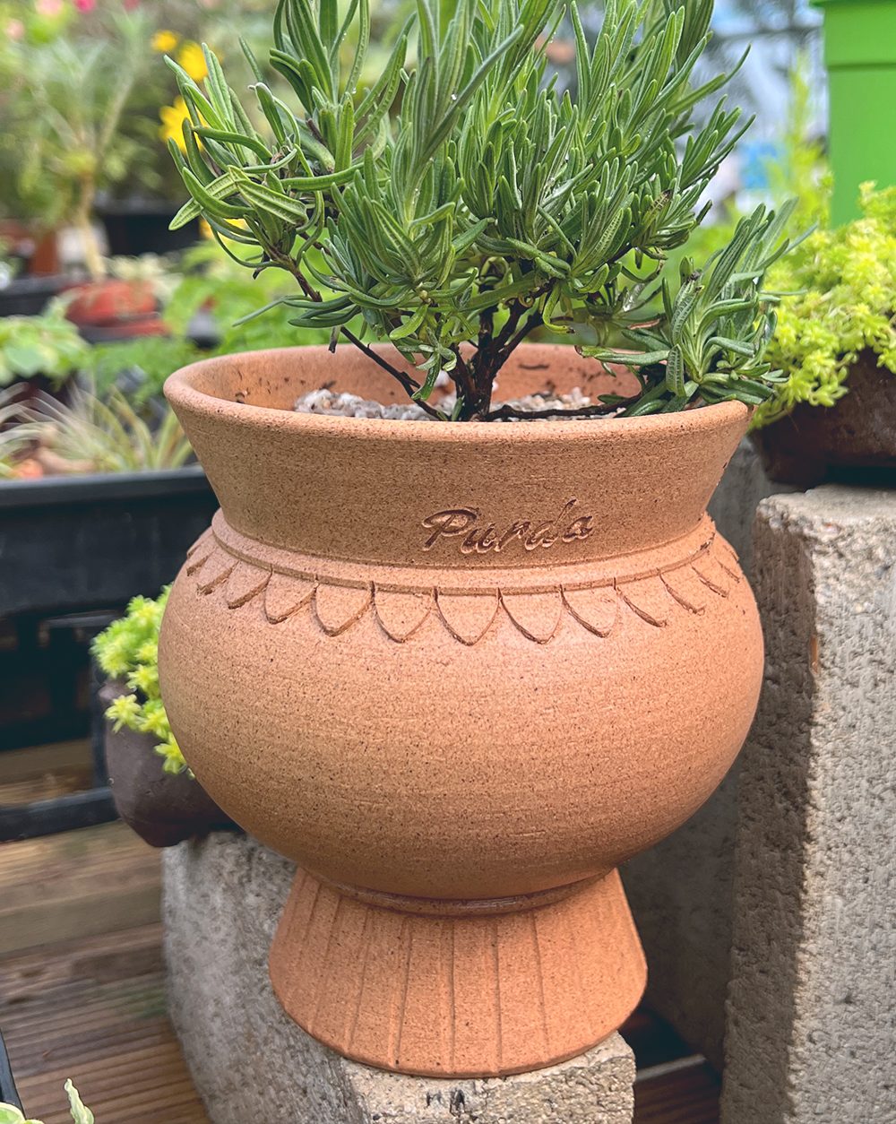OBJET | greece pot - Beige