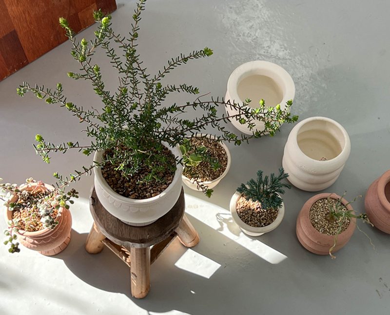 OBJET | greece pot - White