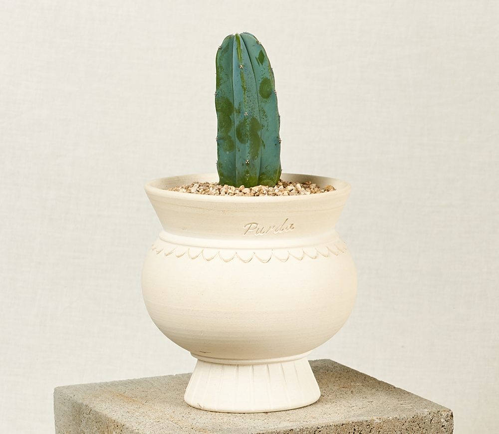 OBJET | greece pot - White
