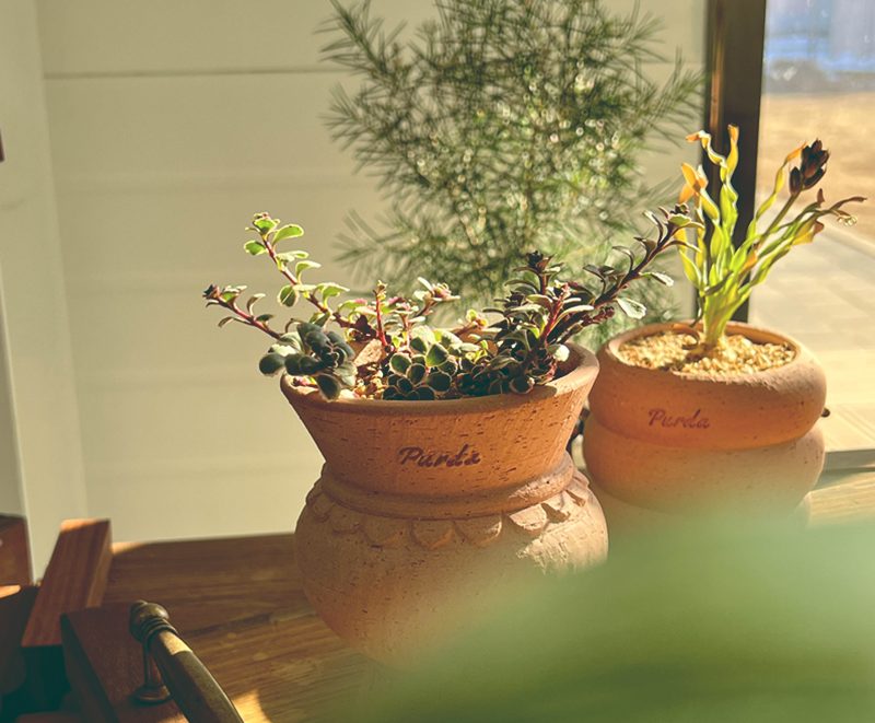 OBJET | greece pot - Pink