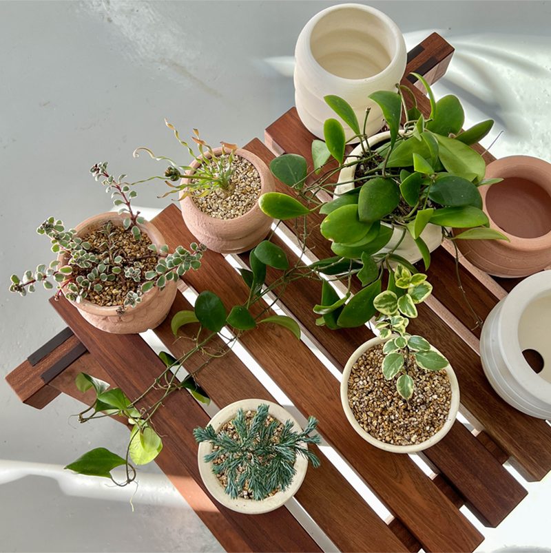 OBJET | greece pot - Pink