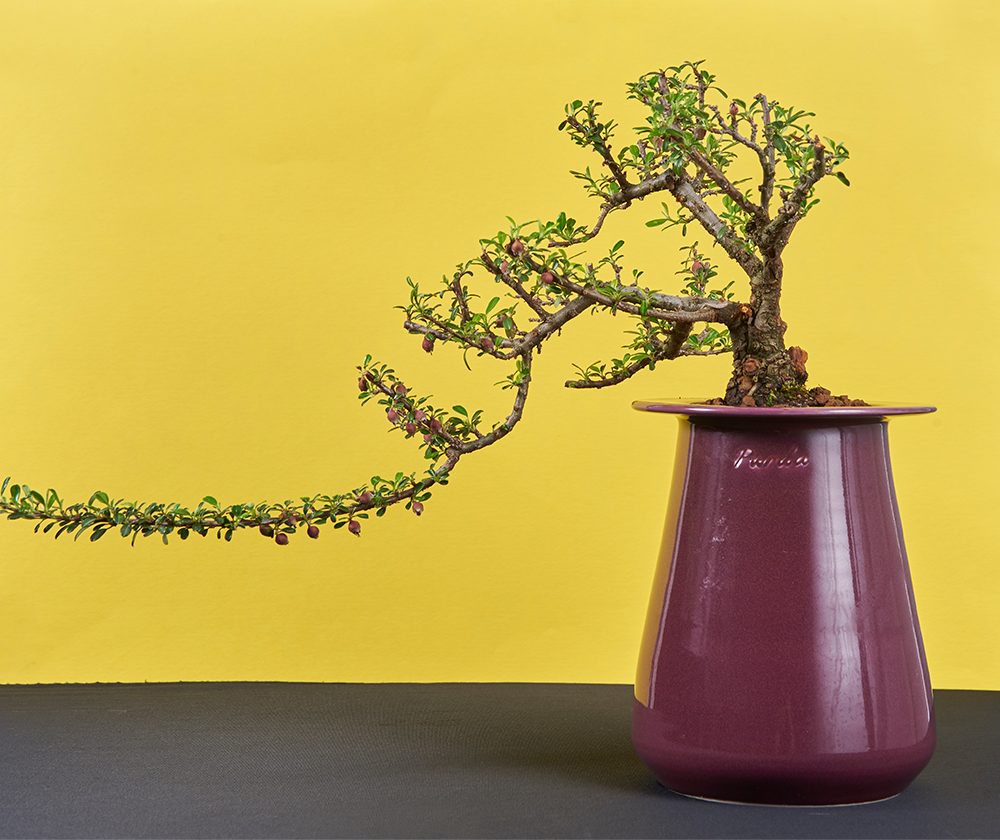 ENAMEL | long pot - Grape