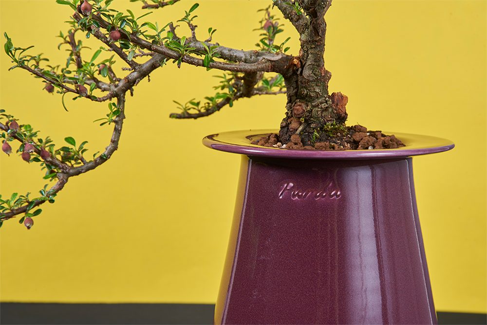 ENAMEL | long pot - Grape