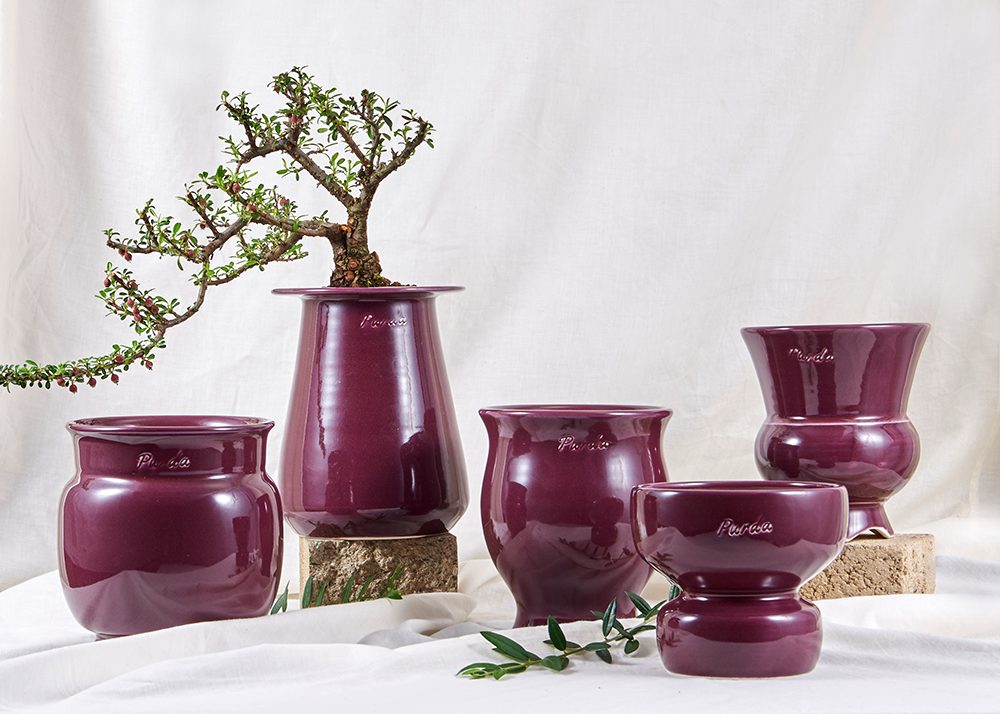 ENAMEL | bottle pot - Grape