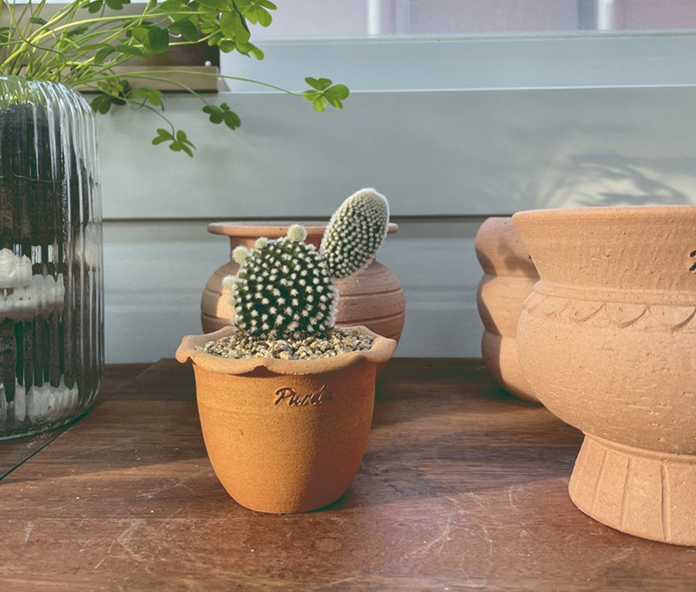 OBJET | ruffle pot - Beige