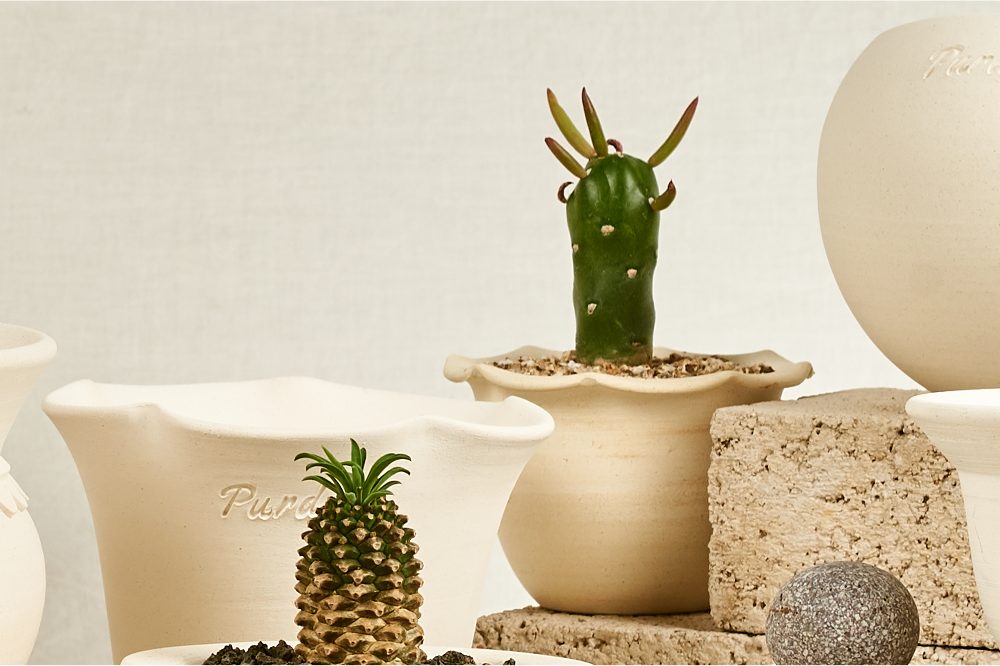 OBJET | ruffle pot - White