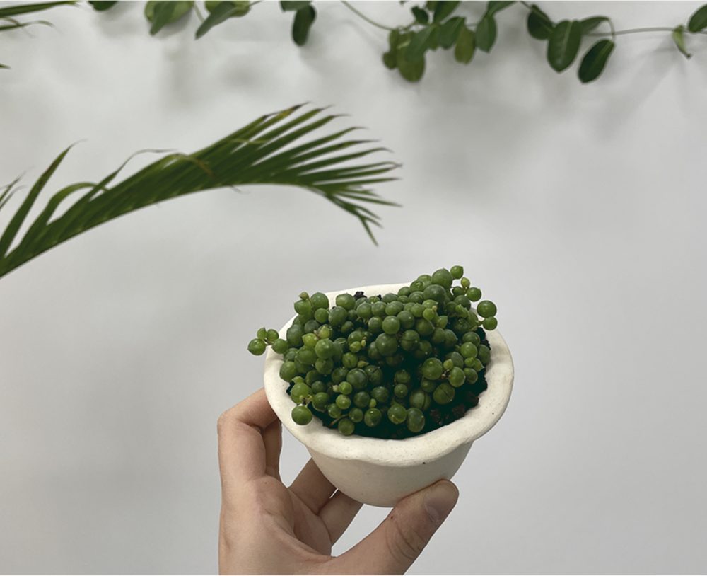OBJET | ruffle pot - White