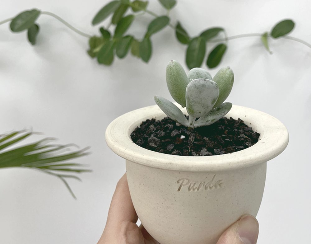 OBJET | plane pot - White