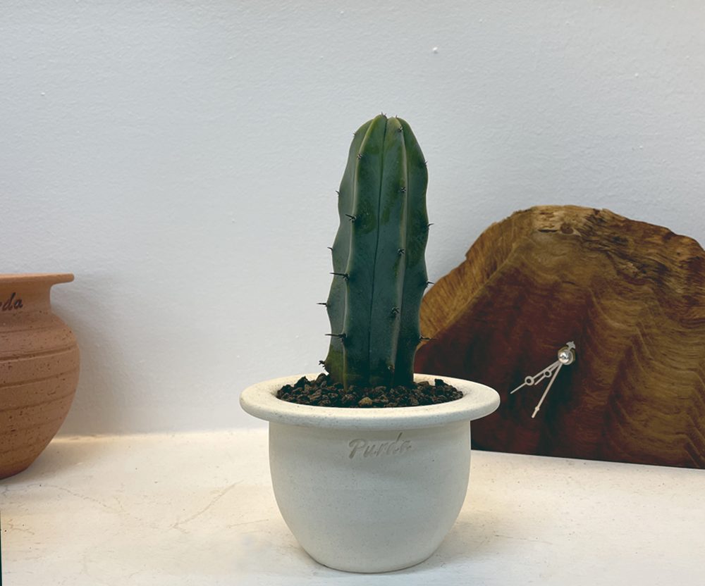 OBJET | plane pot - White