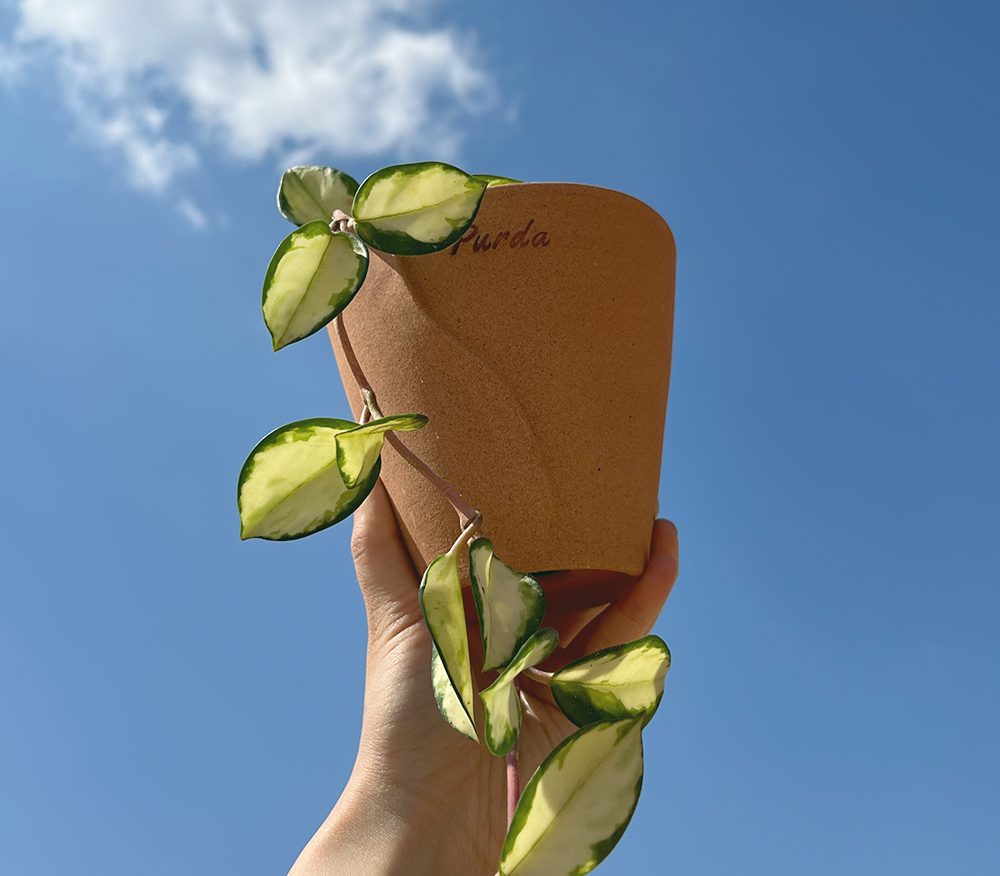 OBJET | line pot - Beige