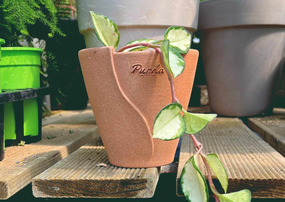 OBJET | line pot - Beige