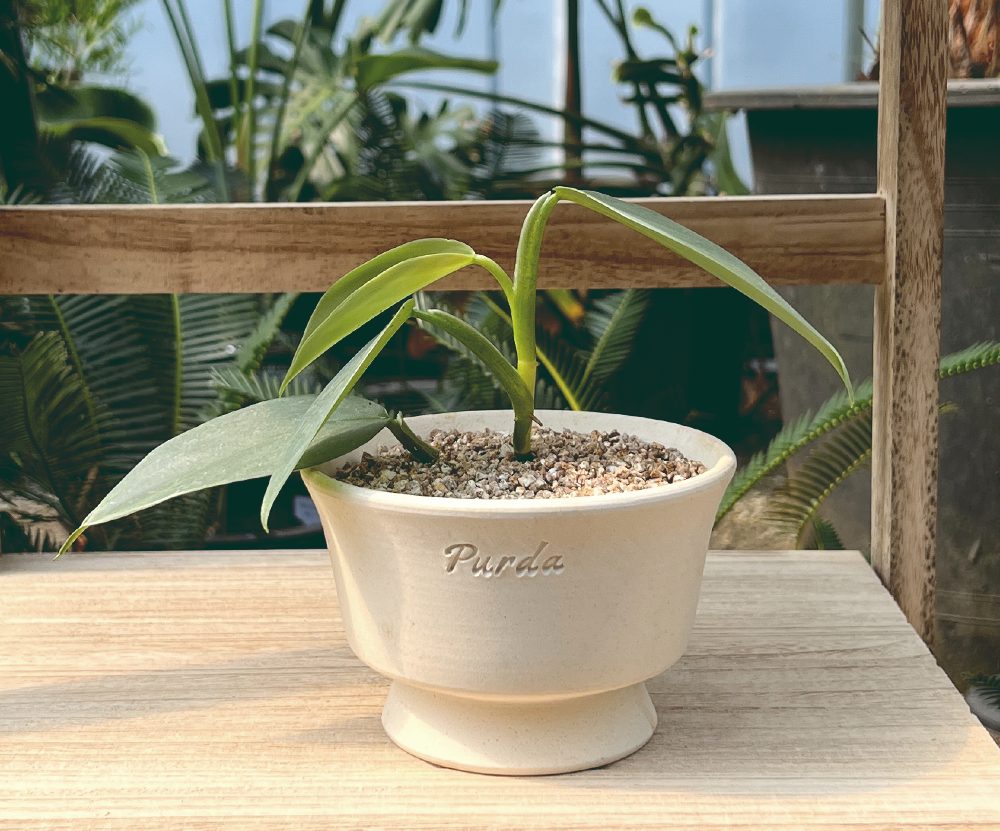 OBJET | square tray pot - White